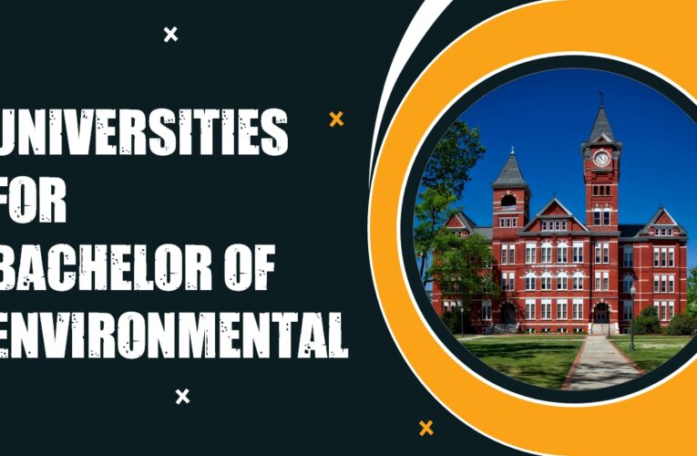 Top 8 Universities for Bachelor of Environmental Science (B.Env.Sc.) Students in the UK