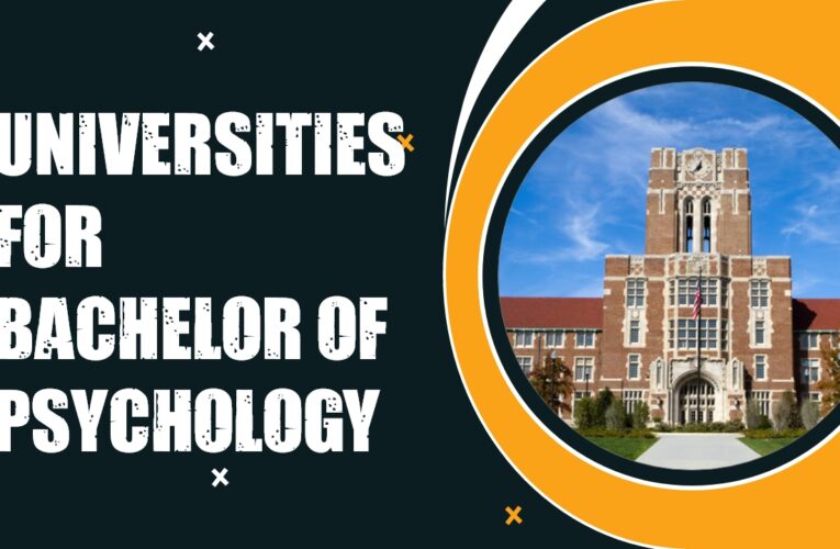 Top 8 Universities for Bachelor of Psychology (B.Psych.) Students in the USA