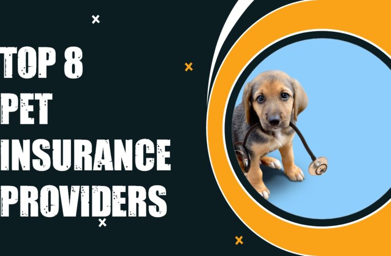 Top 8 Pet Insurance Providers in the USA